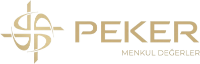 Peker Menkul Değerler